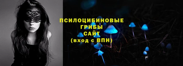 дурь Белокуриха