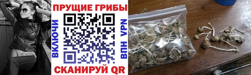 Галлюциногенные грибы Cubensis  кракен ссылки  Мариинский Посад 