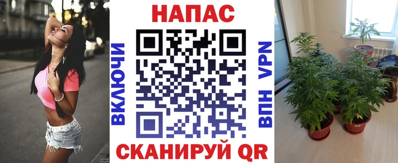 Марихуана планчик  Мариинский Посад 